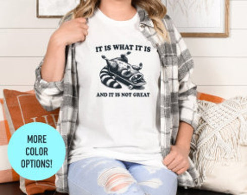 It Is What It Is and Its Not Great Shirt - Short Sleeve Fashion Top - Soft Summer Outfit - Crewneck Trendy Tank Tops - Funny Graphic T Shirt