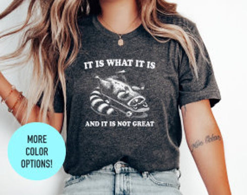 It Is What It Is and Its Not Great Shirt - Short Sleeve Fashion Top - Soft Summer Outfit - Crewneck Trendy Tank Tops - Funny Graphic T Shirt